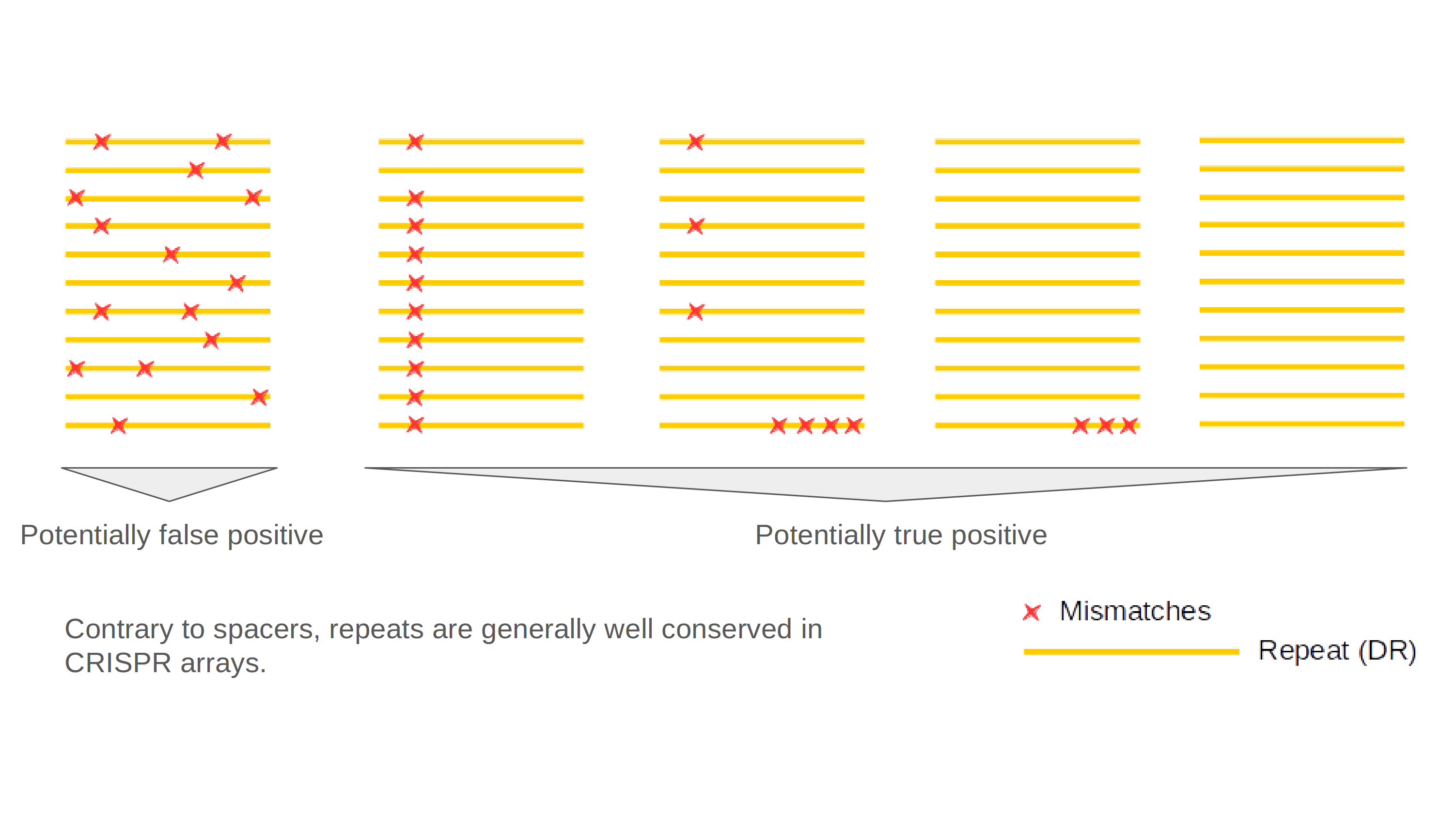 repeats conformations